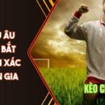 Kèo châu Âu VN88